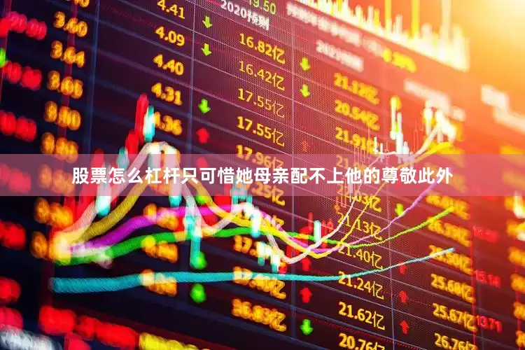 股票怎么杠杆只可惜她母亲配不上他的尊敬此外