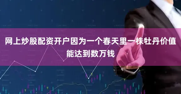 网上炒股配资开户因为一个春天里一株牡丹价值能达到数万钱