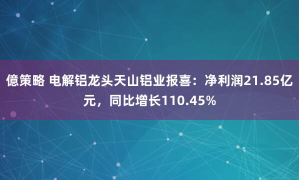 億策略 电解铝龙头天山铝业报喜:净利润21.85亿元,同比增长110.45%