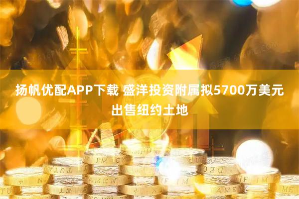 扬帆优配APP下载 盛洋投资附属拟5700万美元出售纽约土地