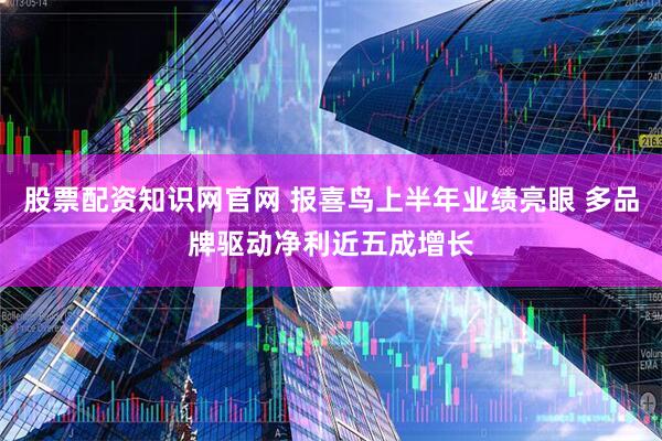 股票配资知识网官网 报喜鸟上半年业绩亮眼 多品牌驱动净利近五成增长